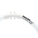 Philips MASTER TL5C rund 60W - 830 Warmweiß | 38cm